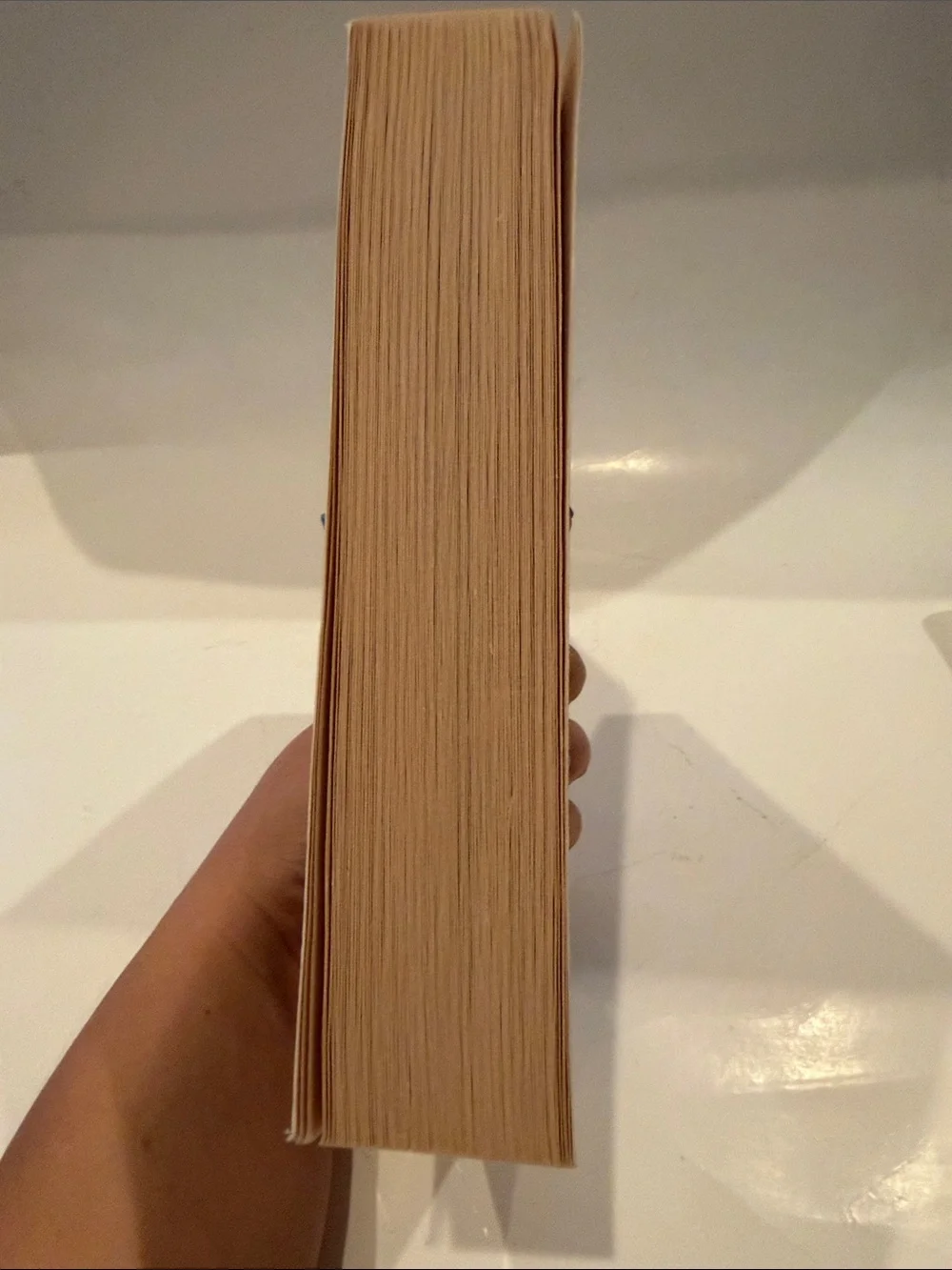 The Odyssey by Homer Book- Blue Cover